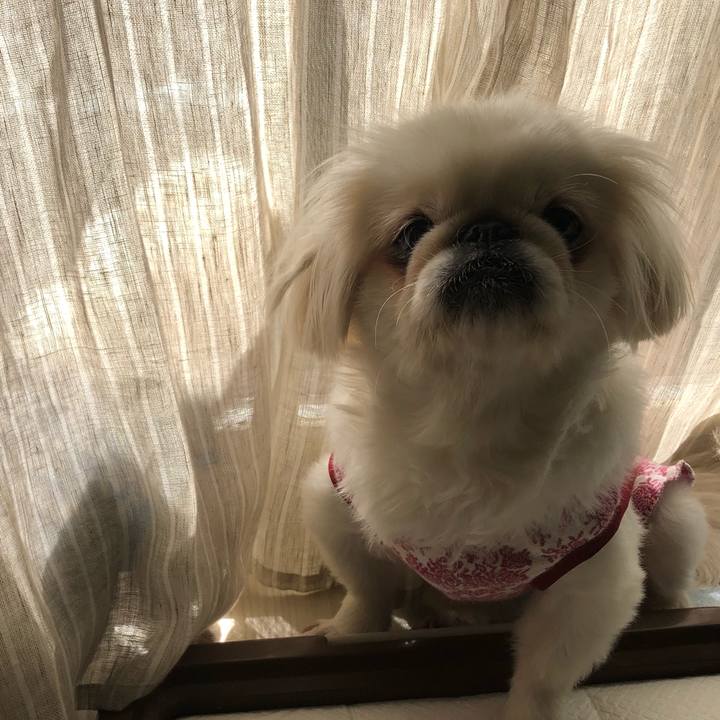 Eb693143 f2ed 43ea a4a6 8f69c0fe6a40 1540084810635