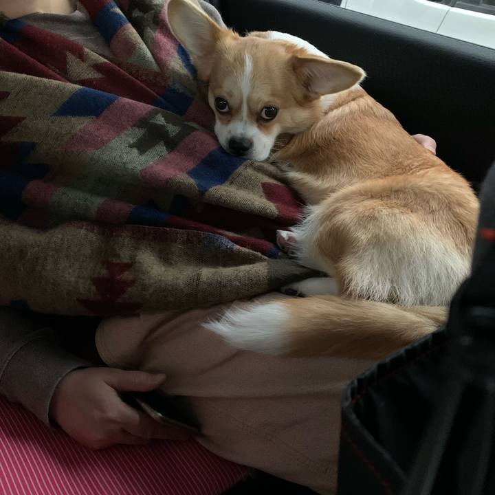 Eb693803 ff64 4324 ac6f cbb2279219f7 1576745412613