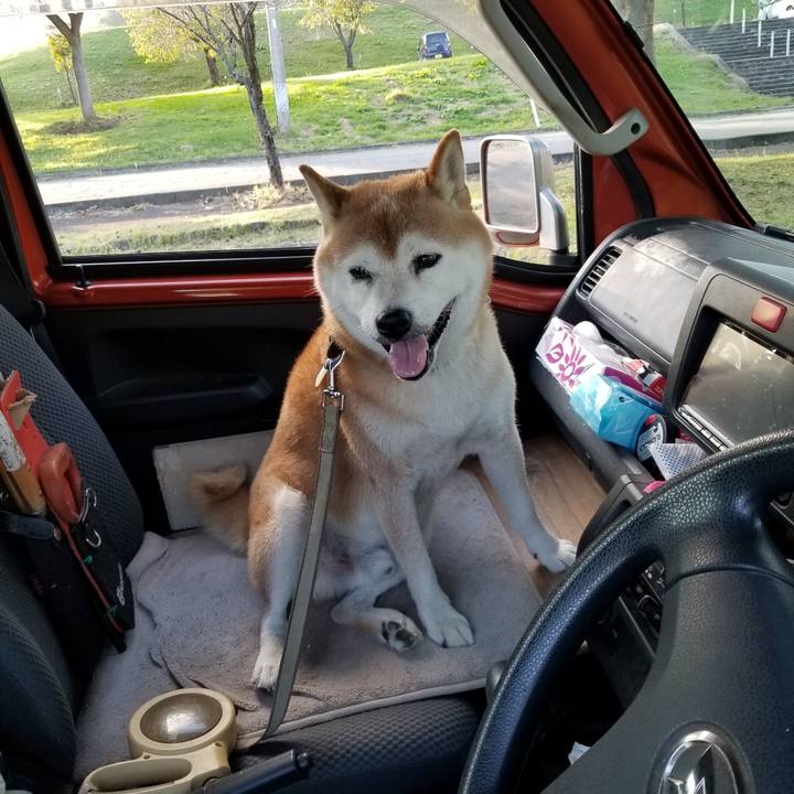 Eb6938fc 51e0 4ed3 aab0 670200eeb497 1664610084123