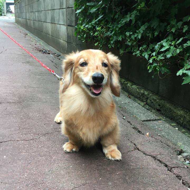 Eb69677a b44c 452c bcf8 482f11c59744 1631445756700