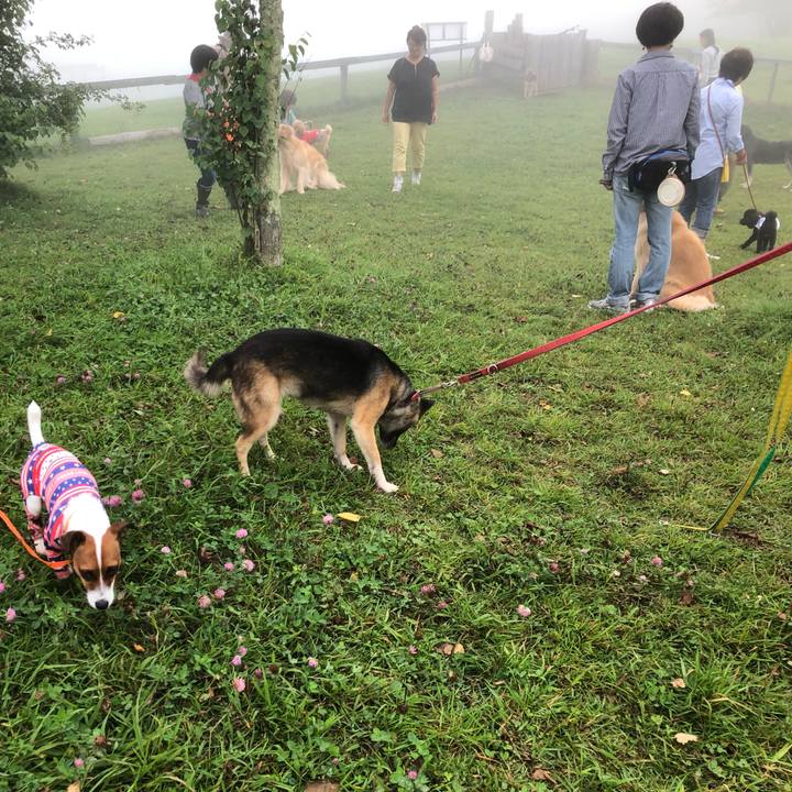 Eb697d13 0341 4fd7 98b5 99bed23ff505 1567489715202