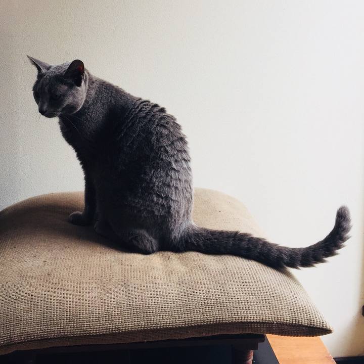 Eb697e90 d2d4 4088 a108 6ab5ac8acb39 1538484402825