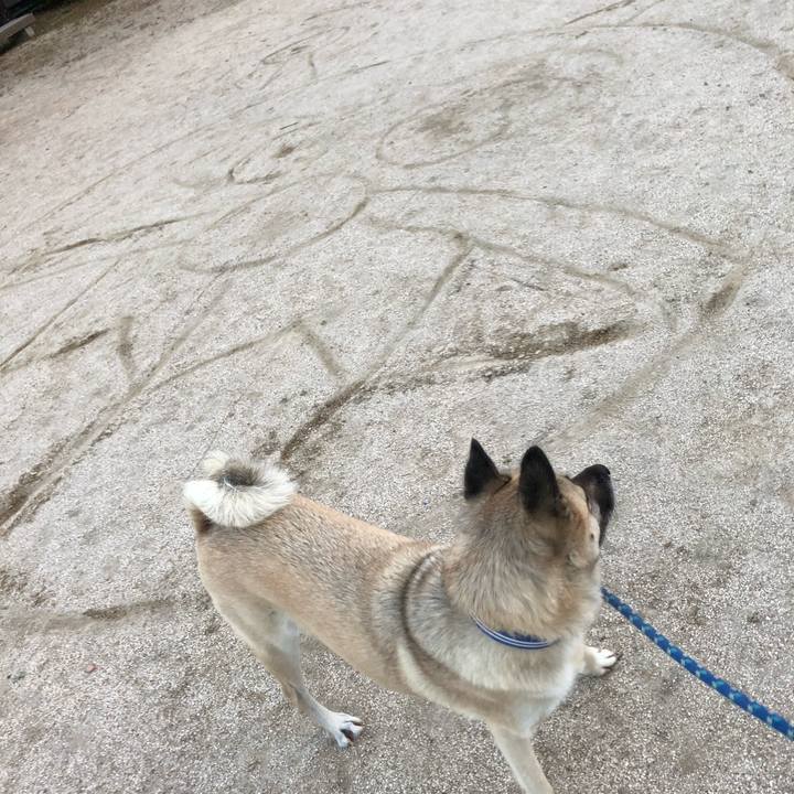 Eb699921 60d9 4215 91da d91c42c710e4 1605352499934