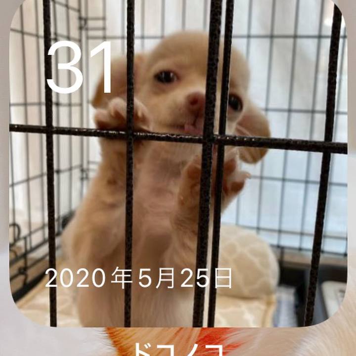 Eb69a4c6 6e29 4fe9 8adb a114e8d3a006 1653999622550