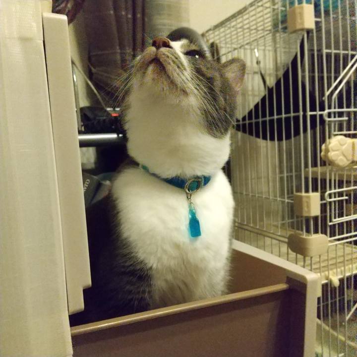 Eb69c9fe 63fc 4bb3 adbe b65a7fbe7965 1626435334983