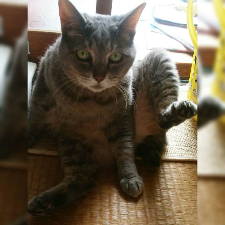 Eb69e06f e66b 496f 9ec7 2295ba094221 1563679717975