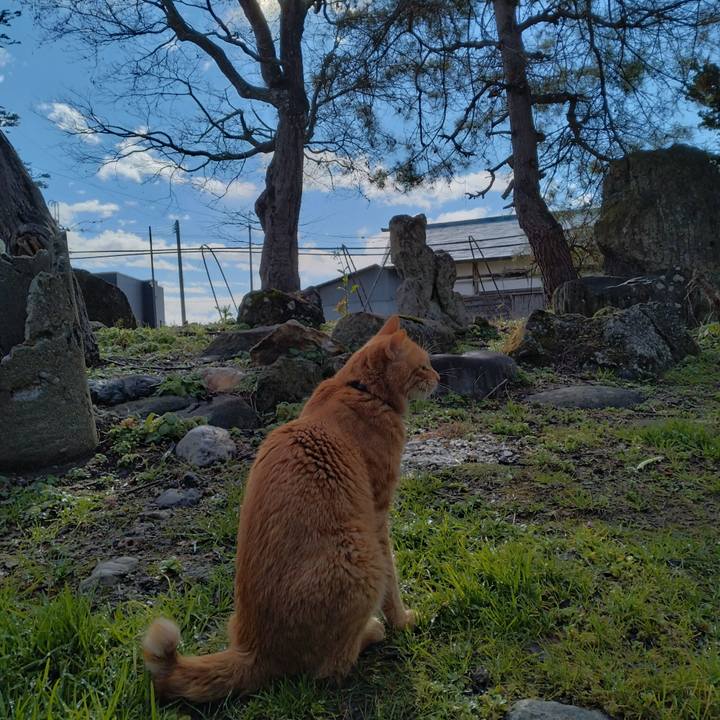 Eb69e8eb 7430 4897 9ffa b8a84b5a90a7 1670293384392