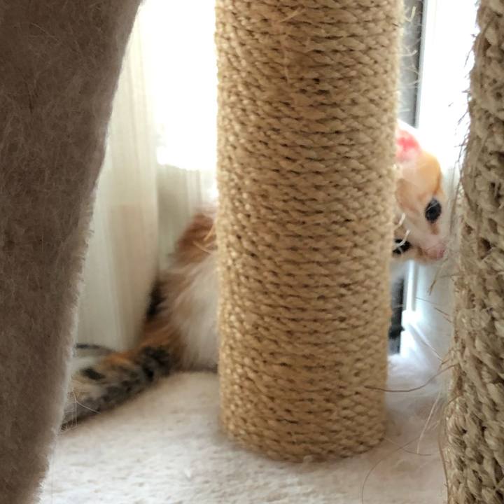 Eb69fd8e bf9e 4367 9fb6 3caa78f0c87a 1561771578067