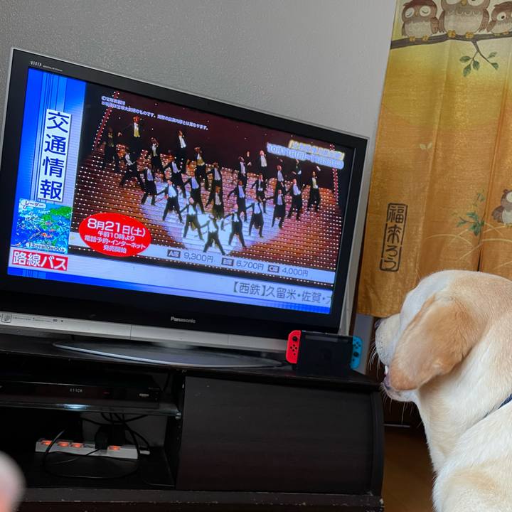 Eb6a0b7a c8f0 42e0 83eb 70677f398734 1628818201438