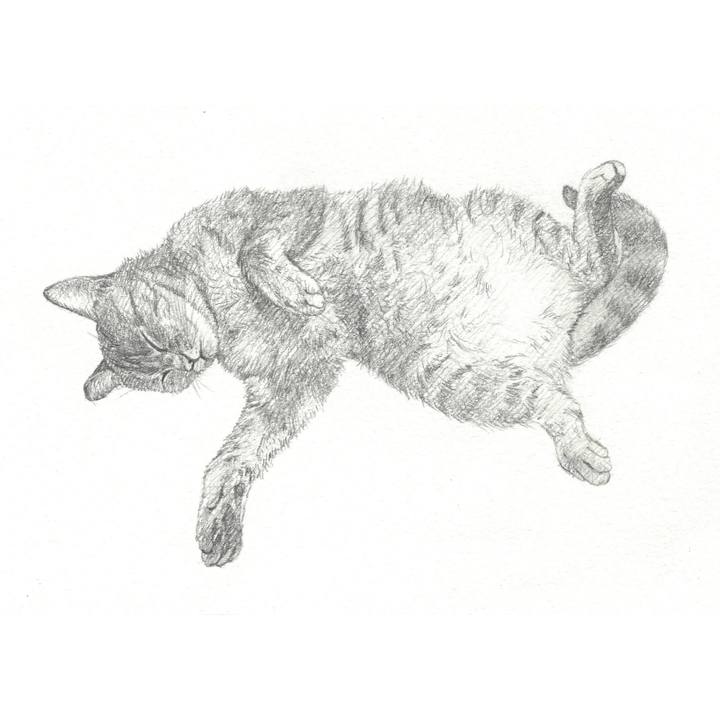 Eb6a18bf b7f1 46b9 a67c 843ac8ad20bf 1543324430064