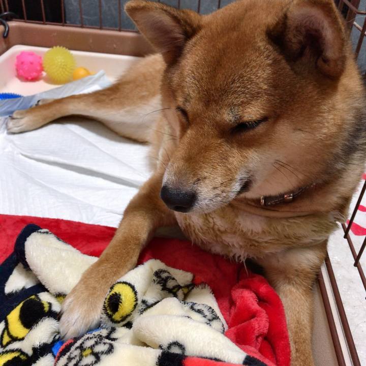 Eb6a1a7a 20c4 4523 8bf5 eef1f3d4c7c6 1521200816195