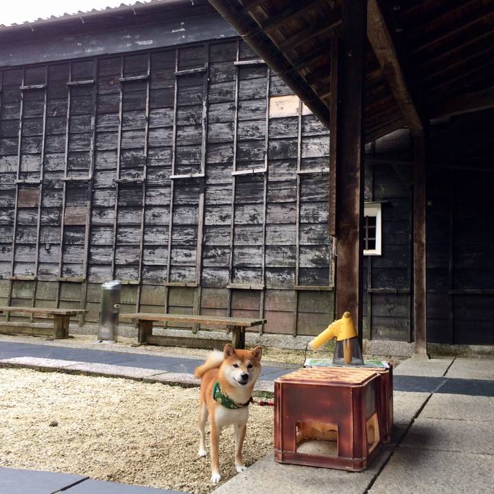 Eb6a1ee5 c3cd 4b3e 89cd c8eef96da484 1508224814251