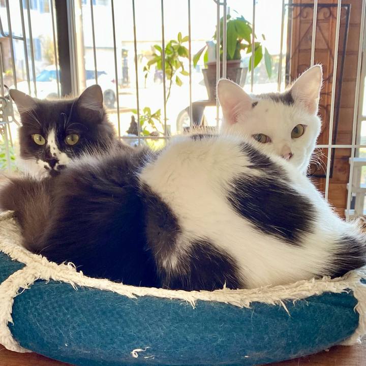 Eb6a6998 b263 4531 aa65 d5630a60b665 1699415099894