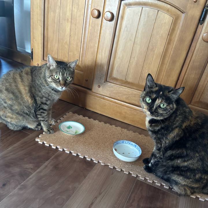 Eb6a6d79 b920 418c 850d f0f7efb84090 1761622132709