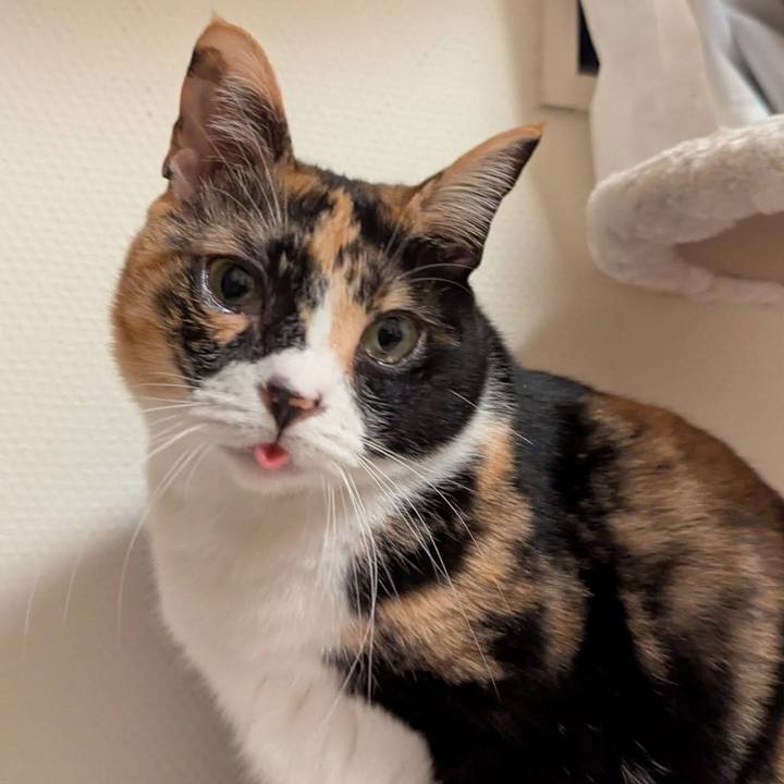 Eb6a6d8e 4a21 4402 b606 2bd6c7337c83 1737872192235