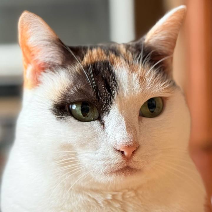 Eb6a7363 efdc 4c58 ae2d 884b11c2f6ae 1738372099448