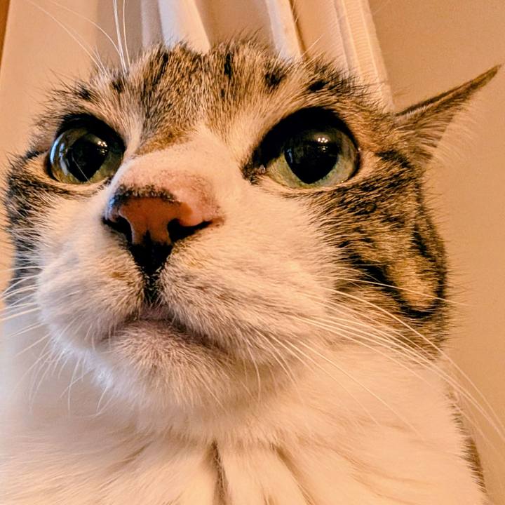 Eb6a7b08 848a 4d34 b5be eda65b5fdd40 1771629429750