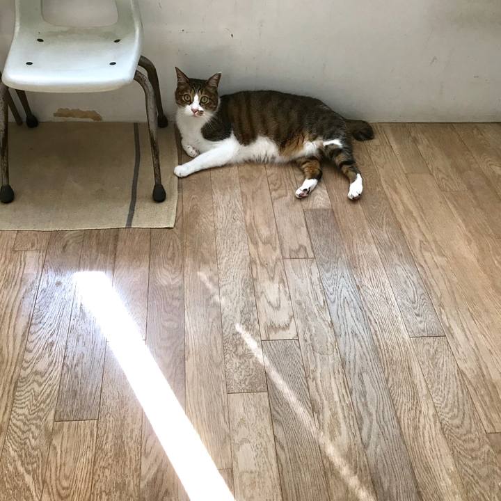 Eb6a8bcf 3c6e 49dc a358 2b4b54ad9f4a 1538529730324