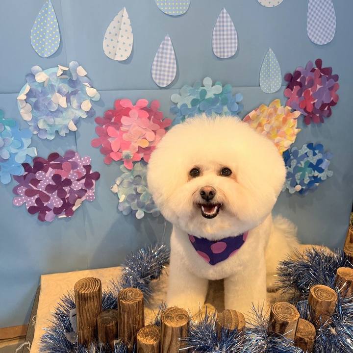 Eb6a93bb 915d 4188 9e53 55027f015654 1684834223172