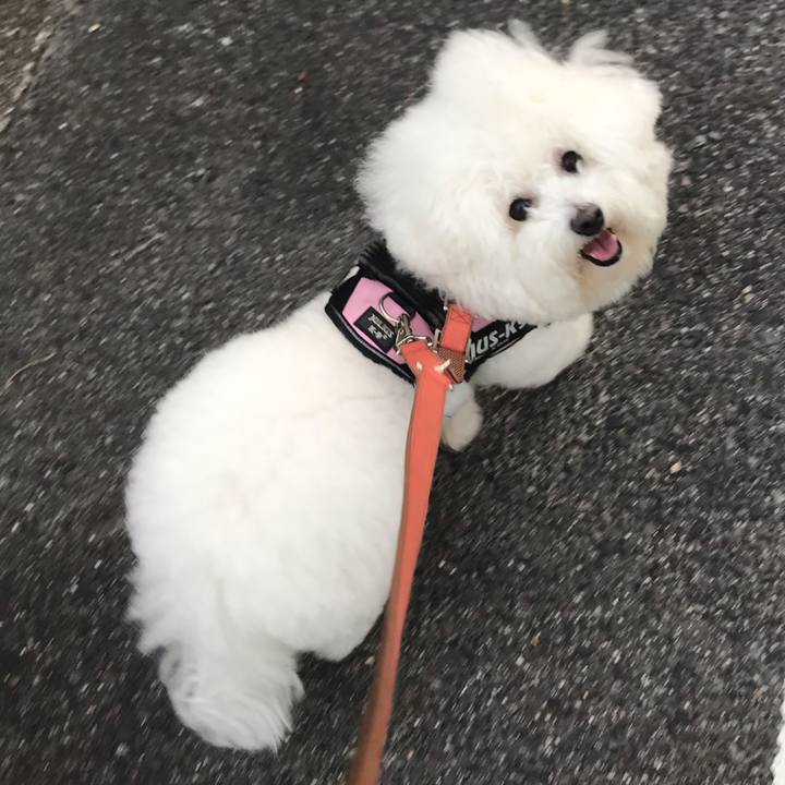 Eb6a9c1e 0b0d 442d 9ebe ef2842134459 1590056523509