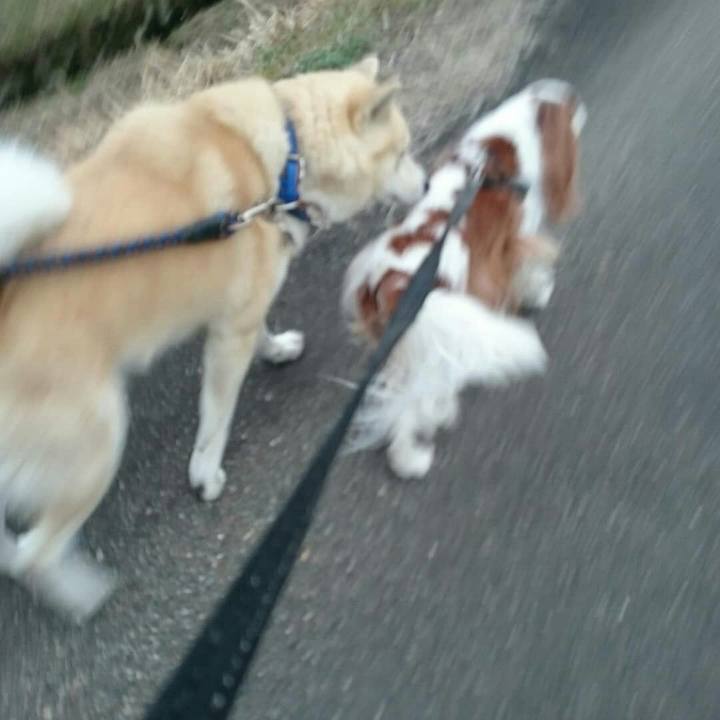 Eb6aeee3 8607 4c26 9782 f2a284b7cf73 1553676635895