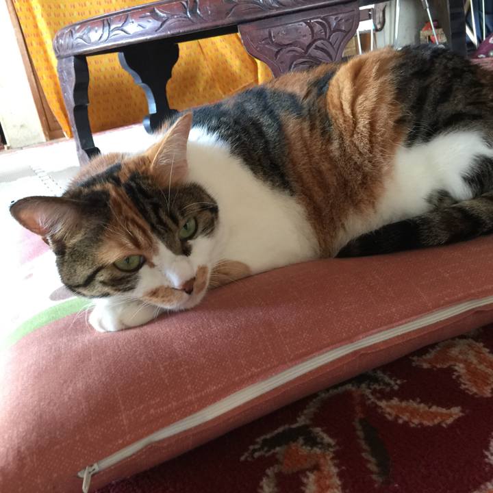 Eb6af293 a0fd 4ae6 8cb4 8a994d7b6652 1700529901919