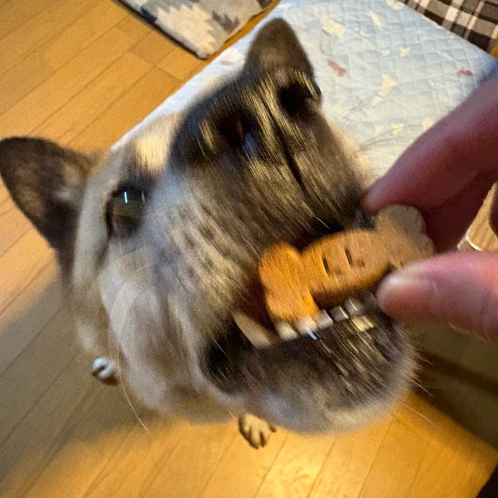 Eb6b15d0 8822 4e29 acbb 69cf7d0971fe 1751891056086