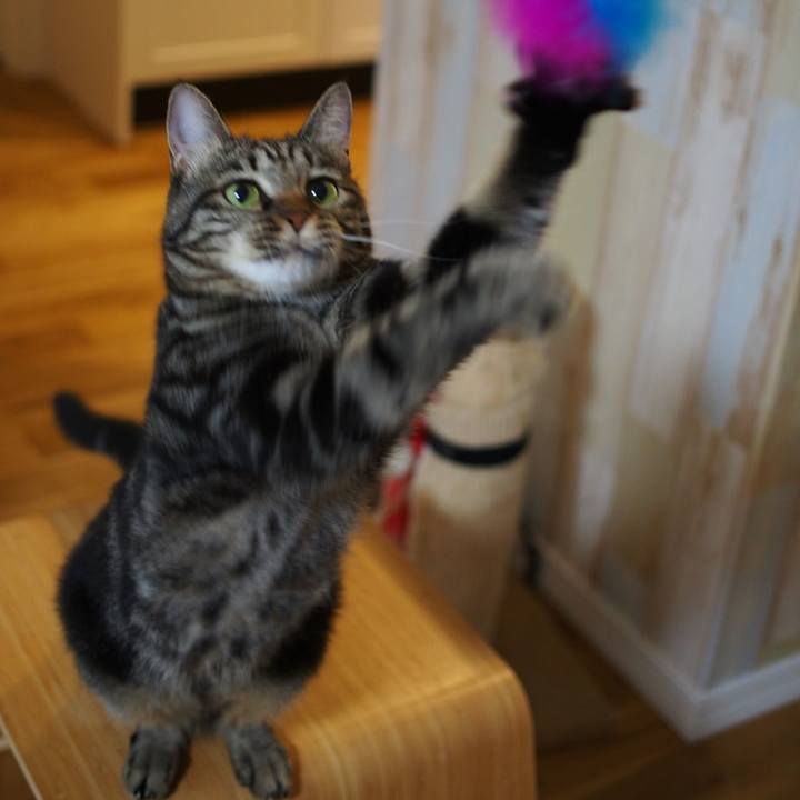 Eb6b1b08 c16a 462f b172 e17e7c6da797 1569049350779