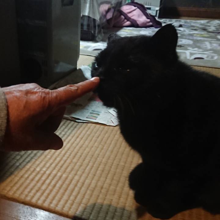 Eb6b6119 8c4a 44da 8bd5 cba49421931f 1619186947233