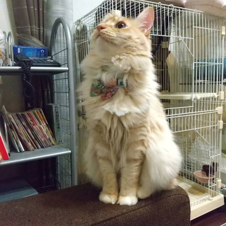 Eb6b7272 d9ab 4113 83a6 453414d6da4b 1646139589984