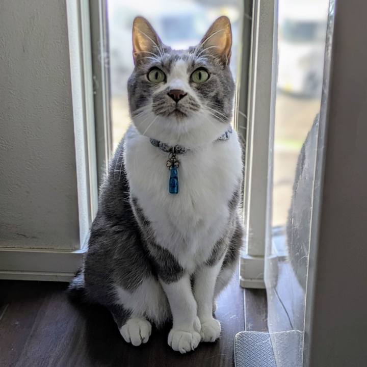 Eb6b7f6b 82e2 4af4 b3af 6b784be3249d 1763351636858