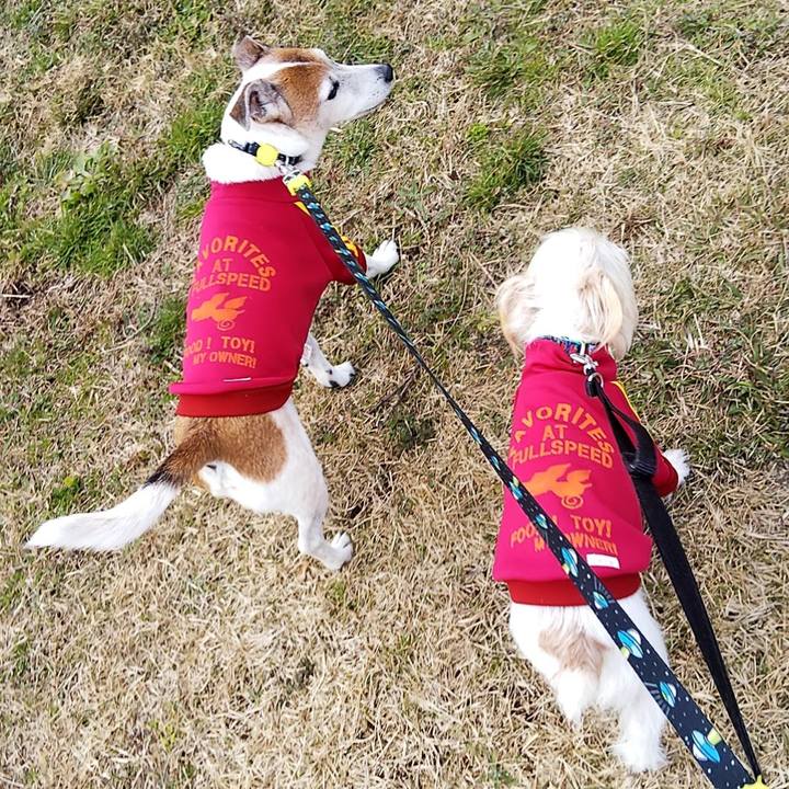 Eb6b909a cbd9 446b b0f0 29690c2c48aa 1546410003163