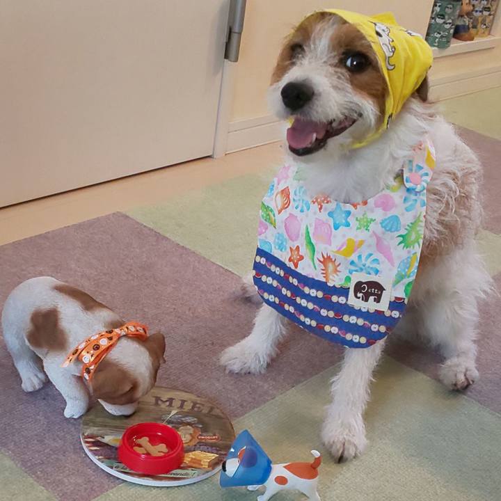 Eb6ba4d5 0afd 4468 aa96 a78b1f204507 1565328703532