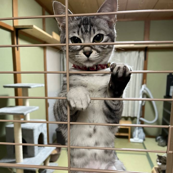 Eb6bbb10 f9fd 462e bc40 3af6e64d8a71 1707875963337