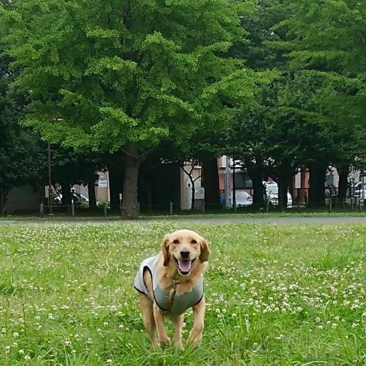 Eb6bcb10 86f4 4042 8fcd 9ddfafd8dbd4 1529717352291