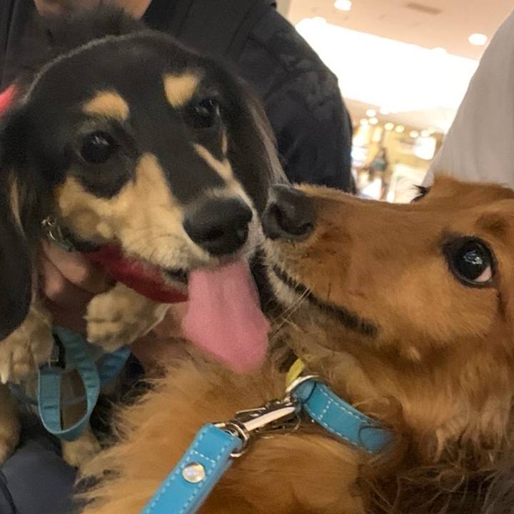 Eb6be59a 6e5d 4247 acd4 27c0ab838683 1696244086929