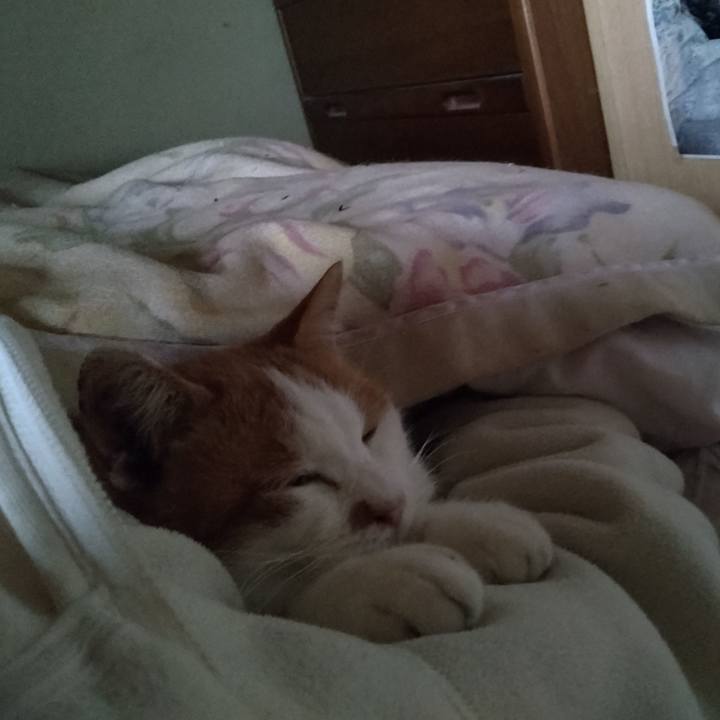 Eb6c0bd7 0a80 47e6 86b1 d4035014b4e7 1765866843822