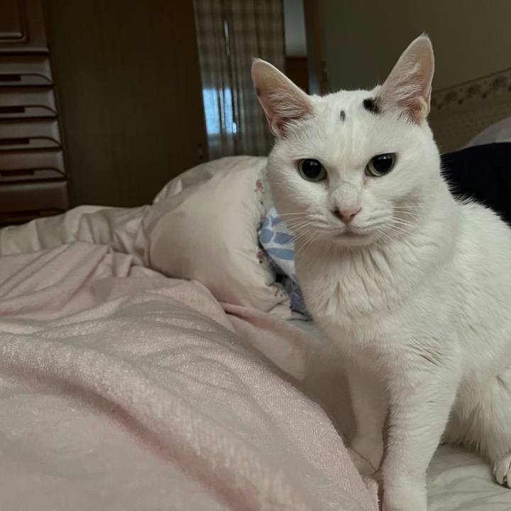 Eb6c203b 8f7e 4429 851b 7e16f4028803 1653686478687