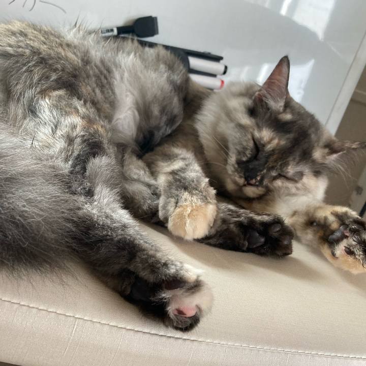 Eb6c3217 1556 408b 8b1e c4bcf536b469 1716091242329