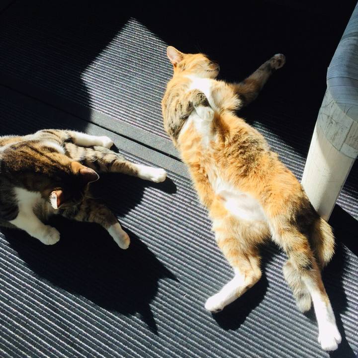 Eb6c4293 6b13 4d8b 869c 229c8b25baf7 1578623621222