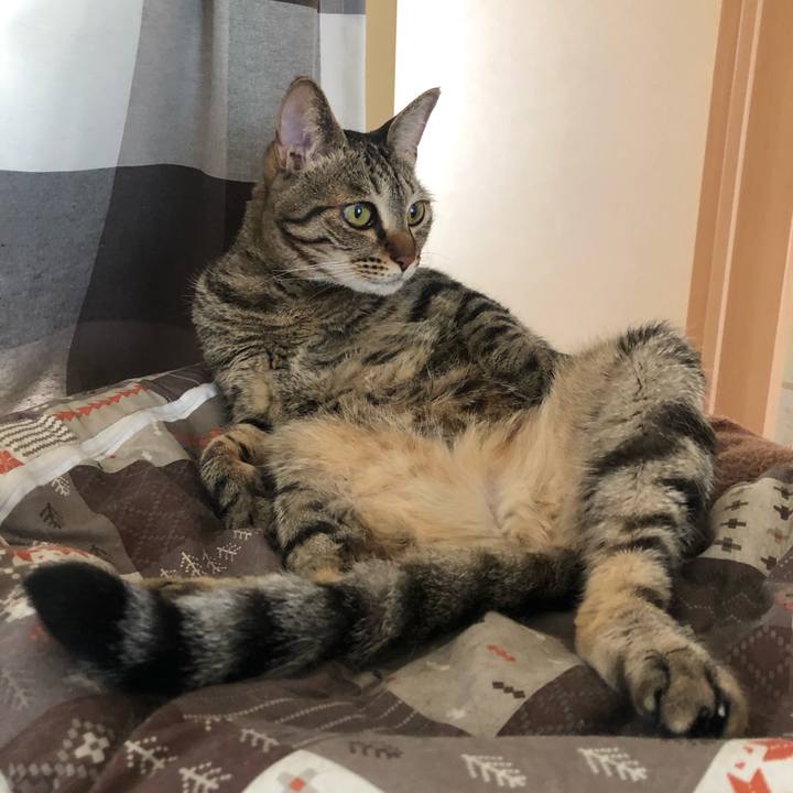 Eb6c4934 572d 47a3 aa7a d20a7a2da212 1589684644931