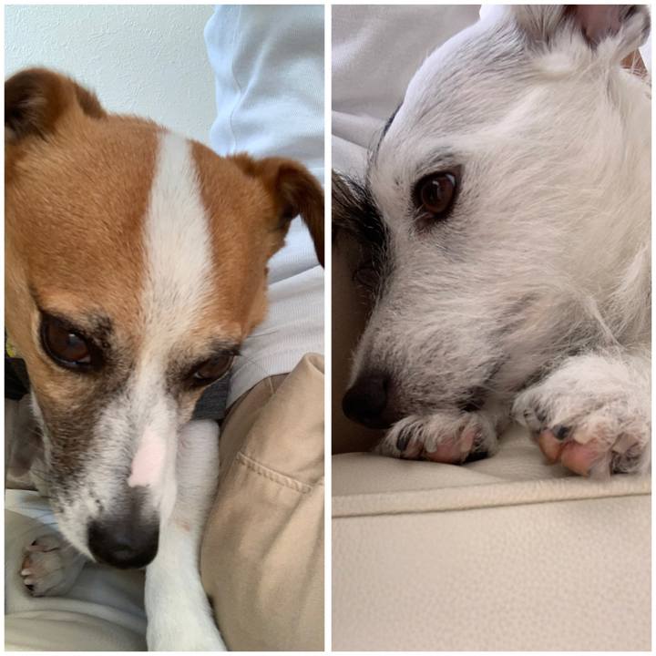 Eb6c4d40 58ee 4aae 96f3 a68219c7e139 1558936735066