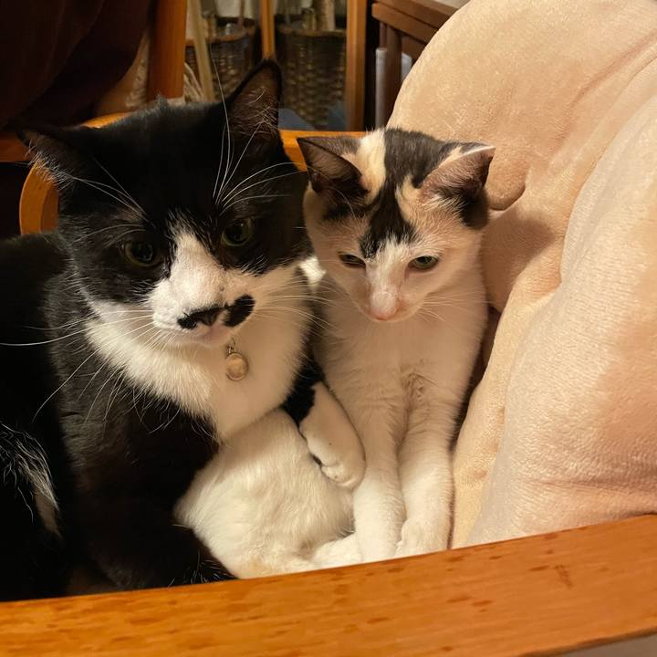 Eb6c8052 097c 4cbc a262 171f8d68e88f 1733135567270