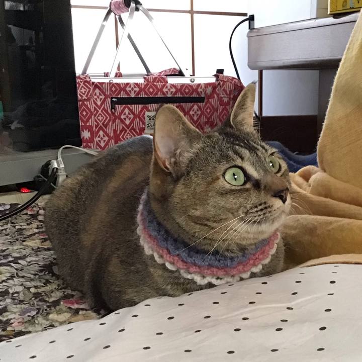 Eb6cc1d6 f95f 440d ab77 e14634038d5e 1620783412554