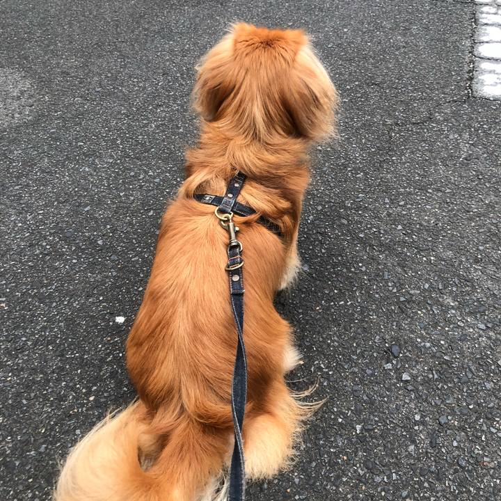 Eb6d0432 e590 4afa ab88 27dd9197f1d2 1538690594085