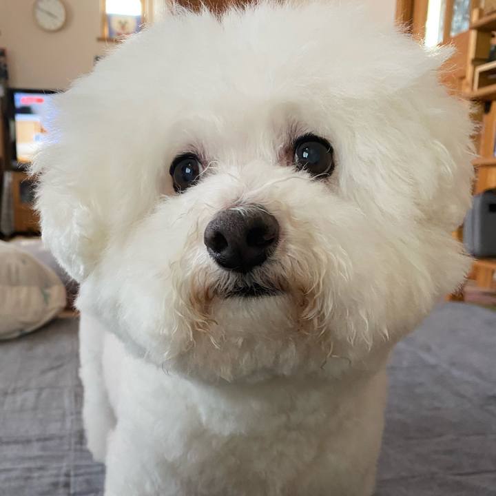 Eb6d1027 356f 4c6f b235 42b14e7d7cc8 1626590987192