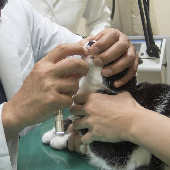 Eb6da890 869c 462f 9b78 789b1343ba69 1526468701379