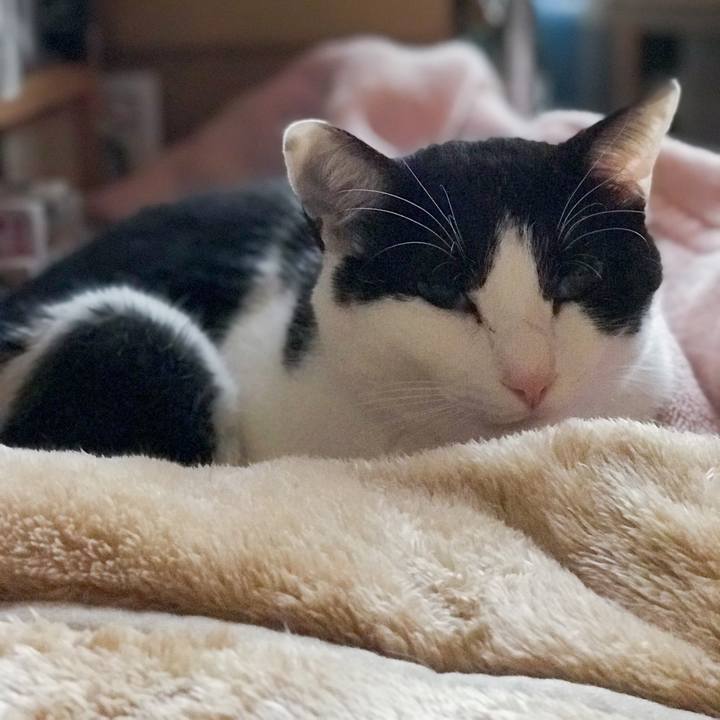 Eb6dd313 117b 4cfb 8d37 9d44f93c6f57 1521816869473