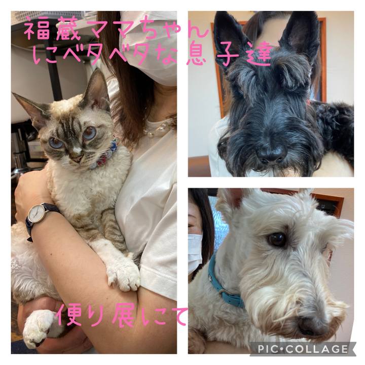 Eb6dd515 3787 4b5b b6a6 da68e0863cf8 1665440605849