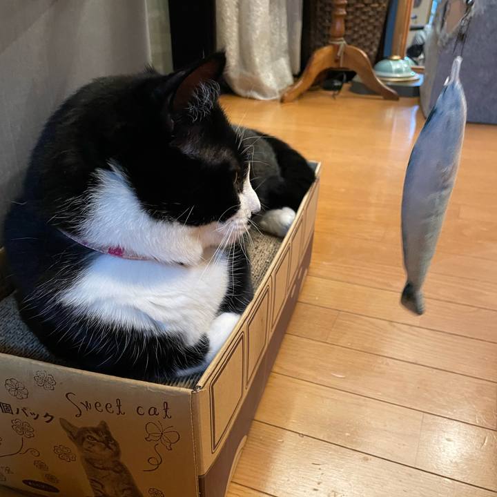 Eb6def61 7f8f 4270 a88a 2800621c6a43 1653917850447